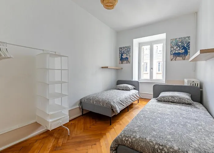 Grand Cosy - Hyper Centre - Strasbnb Apartamento